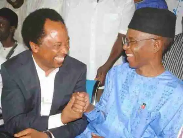 Senator Shehu Sani Walks Out Of EFCC Event After Sighting Governor El-Rufai